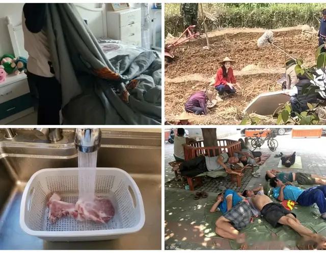 六个长寿习惯，越懒越健康，勤快反而适得其反。