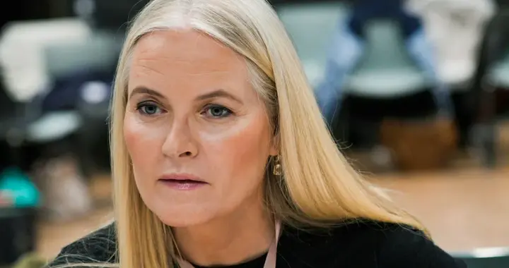 首个发声！挪威梅特王储妃因爱泼斯坦案陷入“困境”，英王好睿智