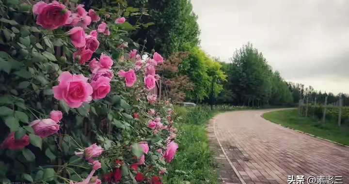 喜欢把家里打扫得很干净的人，大多活成了这样，很准