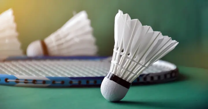 月薪两万不敢碰，羽毛球是怎么涨的比黄金还猛的？