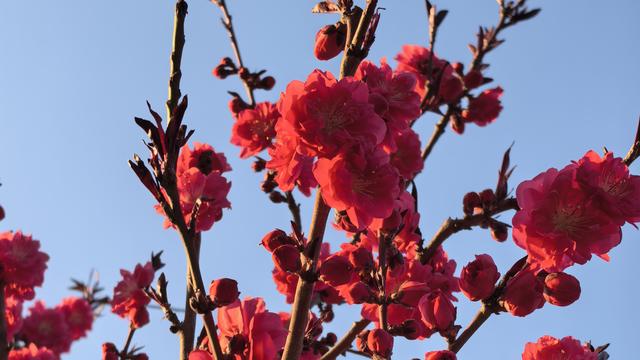 蒲根蒲草：现在提取住房公积金简直是太便捷