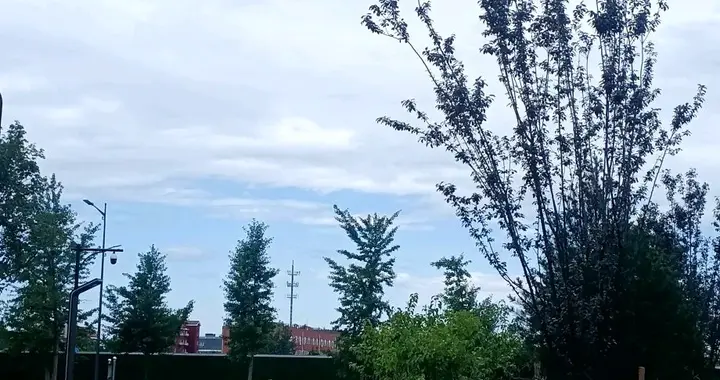哑巴老傻，是村里的五保，也是个最不知道讲卫生的人。
