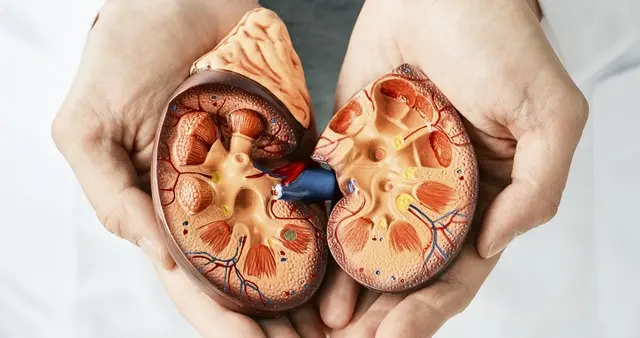 糖尿病最怕的不是血糖高，而是这种“无声的肾损伤”！