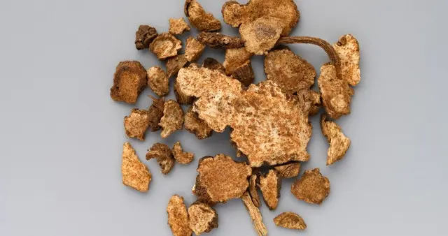 湿在膀胱用萆薢，湿在脾胃用苍术，湿在肌肤用白鲜皮！