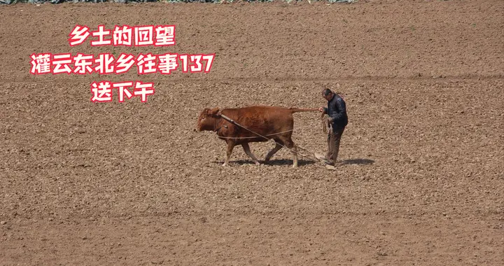 灌云东北乡往事（137）送下午
