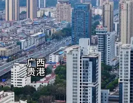 贵港设施农业与玉林玉商回归：小项目困境下的破局之道