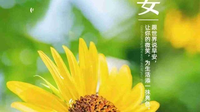 繁花看雨：晨光起于檐角，温柔藏于日常。