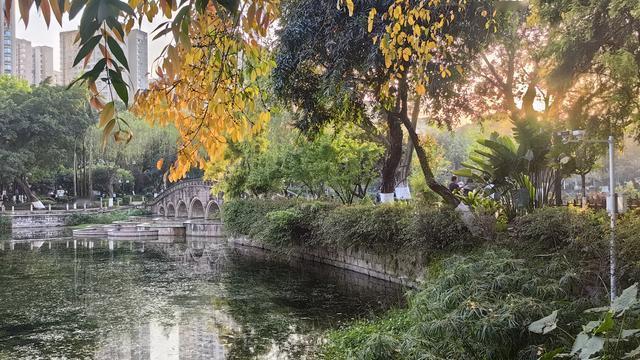 superbk的日常笔记：[送心]大渡口