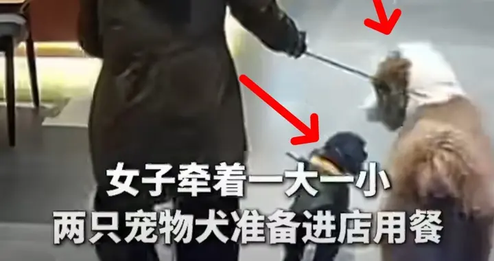 奇葩！女子带狗进餐厅被拒，女子怒写差评，理由奇葩，网友:无语