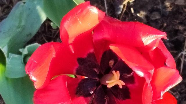 退享人生：“万紫千红总是春”