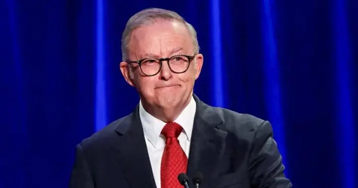 中方已被做局，澳政府通知中企，交出资产，54万吨油菜籽白买了？