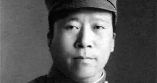 杨虎城已经被李宗仁释放，为何没能逃脱？只因这几个人在背后捅刀