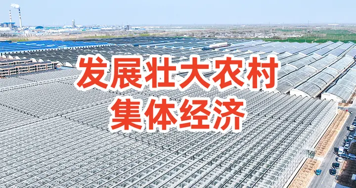 政府大力推行的农村集体经济是什么？到底能给农民带来哪些实惠？