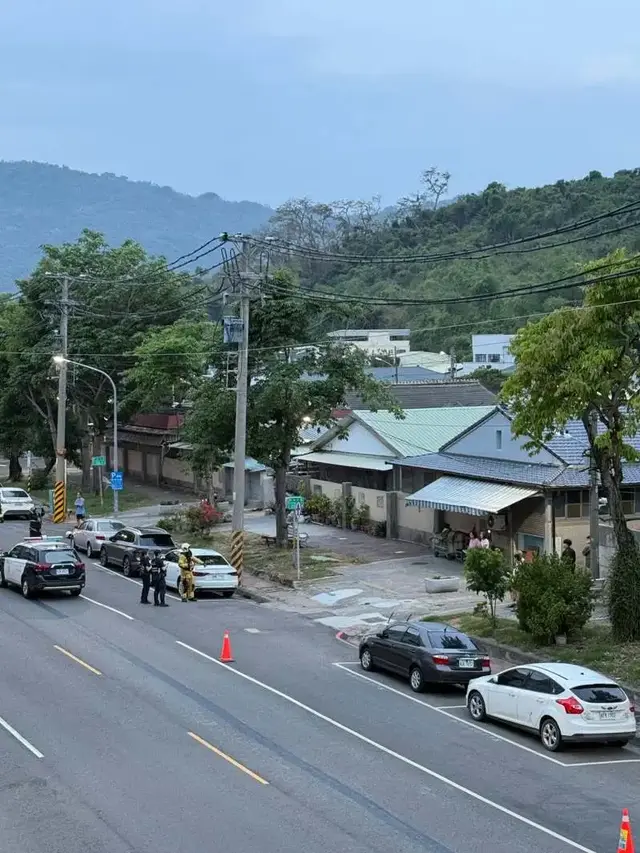 松鼠触电亡 高雄鼓山电杆冒火花致部分区域停电