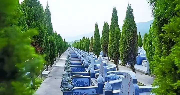 3月30日执行！不需要再买墓地了，国家正式放开殡葬新选择