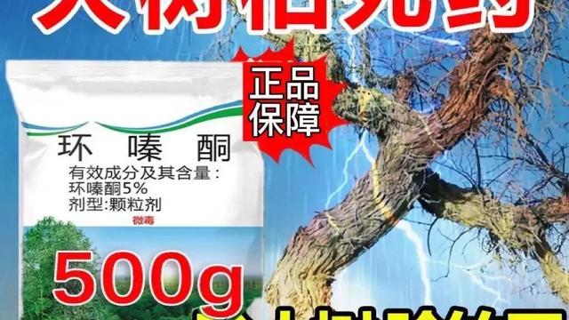 sz炜罡：（原创）网购 网购很神奇，只有