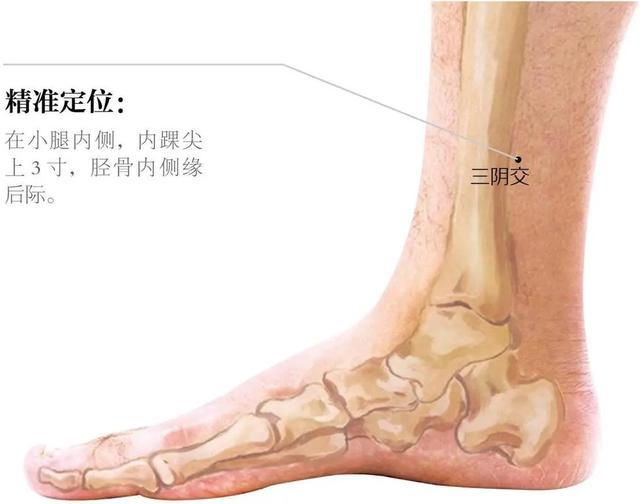 女性常按揉三阴交穴，受益无穷