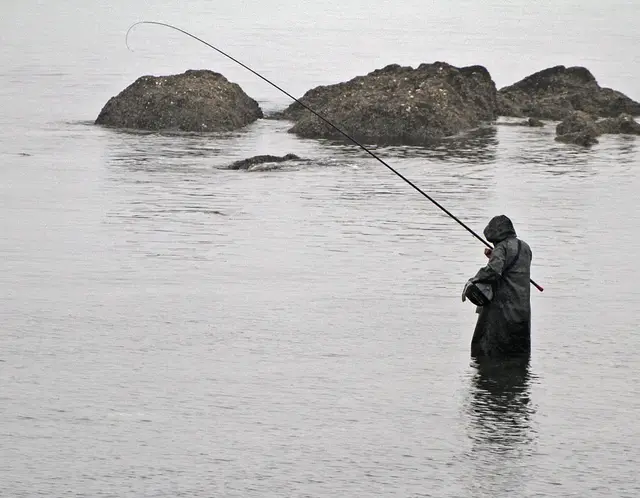 高温鱼好钓还是低温鱼好钓，水温对鱼的影响有多大？有什么区别？