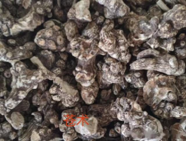 种植过剩是硬伤，这几个多年生的大宗类药材也难逃“暴跌魔咒”！