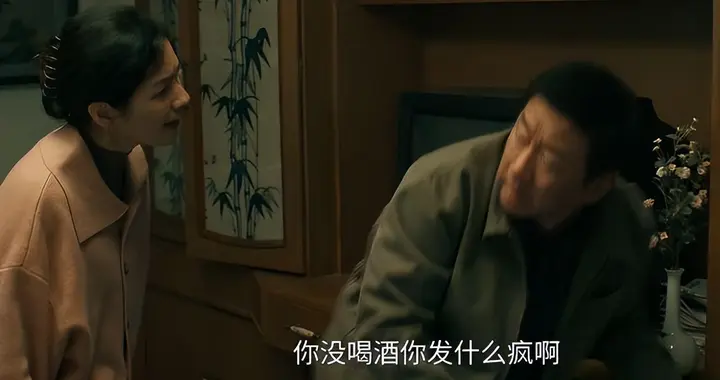 方圆八百里：胡可、丁勇岱再次演绎夫妻
