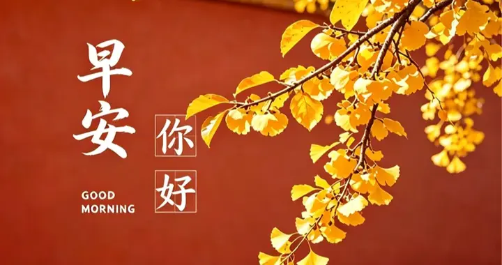 早安！阳光温柔，秋日烂漫，愿你心怀自在，满目欢喜