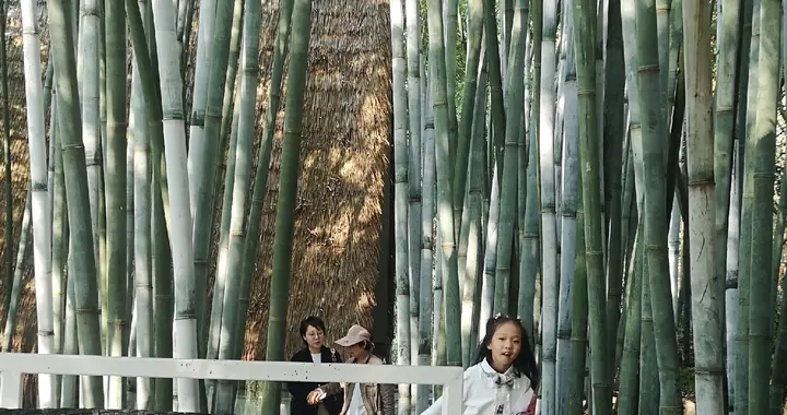 《易经》或者《道德经》它们的伟大是穿越历史几千年你依然读不懂