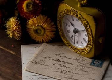 《浪姐6》姐姐们的好状态，普通女性也能拥有！八子补肾揭秘真相