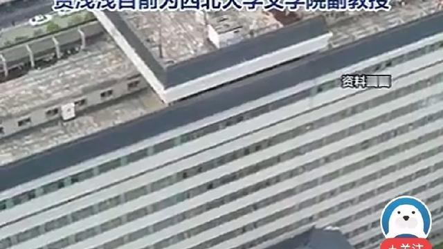 大气熊猫：真的很想问一下，贾浅浅的论文是