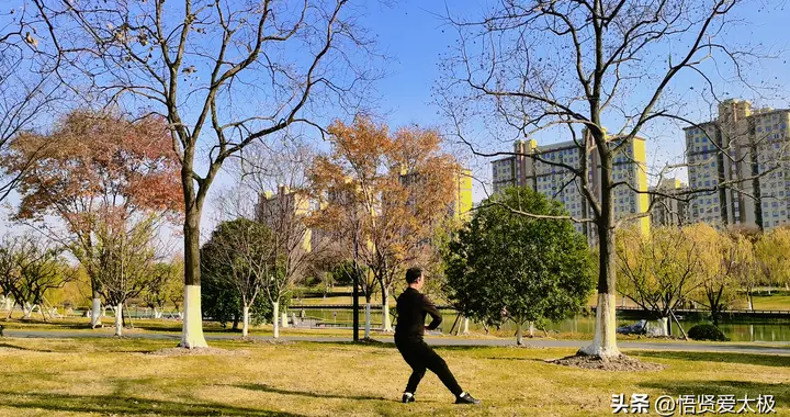 十年练拳为何形似神非？太极拳的“悟”与“多”之辨