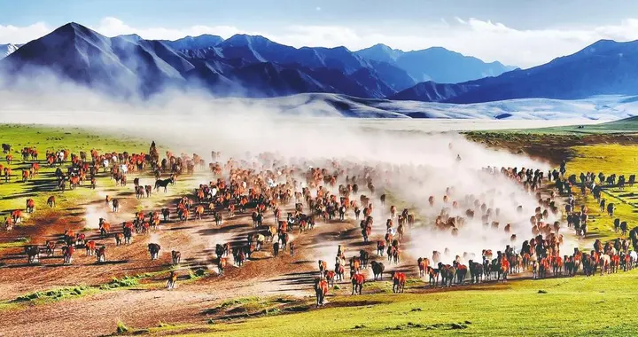 文旅标杆⑱｜车马丝路·烟火长春，山丹马场文旅爆红的标杆意义