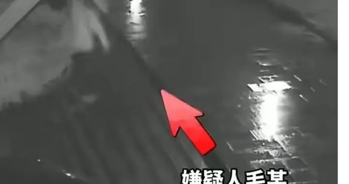 偷百万豪车去泡前任？这波操作把“蠢”和“坏”演绎到极致