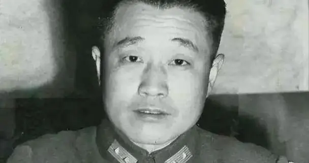 1959年，杜聿明获特赦后，握着文强的手说：没你我特赦不了