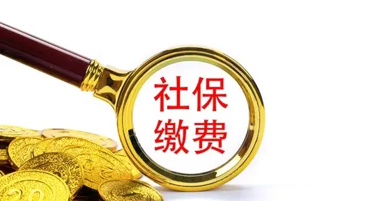 去社保局别当闷葫芦！三句“硬核提问”，漏算工龄乖乖给你补回来