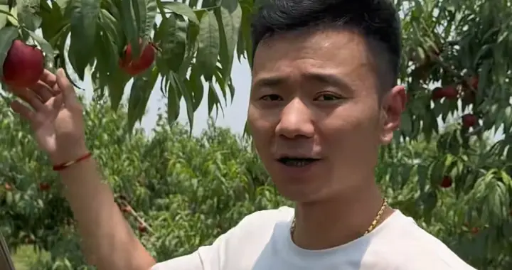 厉怀远麻烦大了 公司已注销 疑李达森拿到他不雅视频 林丽澄清两件事