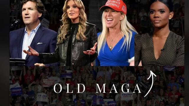 彼得堡的肥天鹅：MAGA阵营继续分裂。