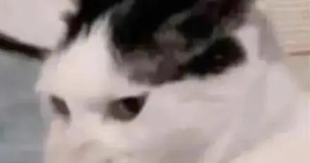 夏天已到，别让“狐臭”先社死！