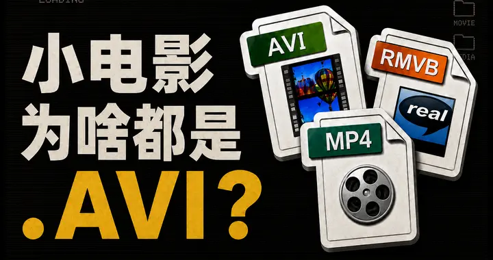 为什么有的电影都是AVI格式，又一夜之间变成了MP4？