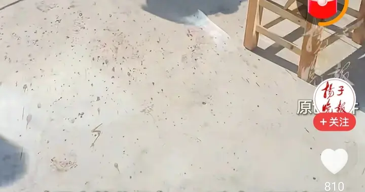 农妇一句抱怨遭被砍，凶手行凶后淡定剁骨，因精神鉴定难以定罪