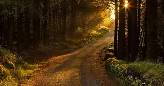 企业价值的三重维度：效率提升、创新创造与社会功能实现