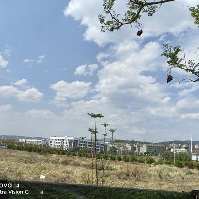 快递人生：在云南看云卷云舒，最舒服就是找