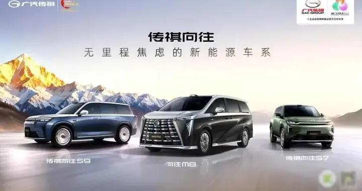 中国电动车被骂污染转移，欧洲人真搞错了，真相藏在发电厂里