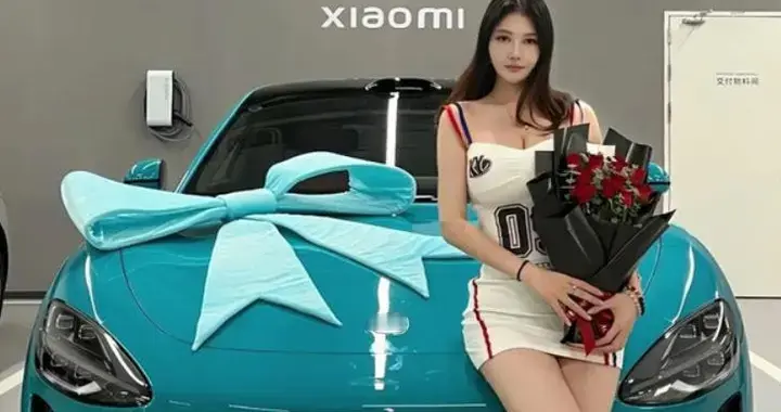 没想到，上半年卖的最好的中大型SUV，居然不是小米YU7