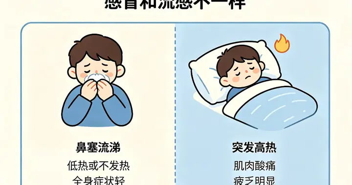 世界流感日｜感冒VS流感，一招看懂！别把流感当普通感冒扛！