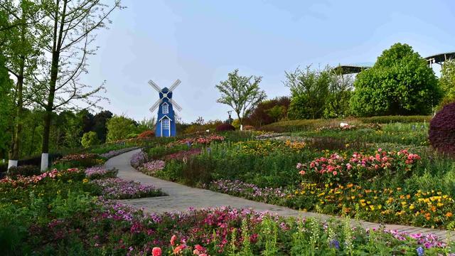 繁花看雨：重庆这天气真的太真实了，四月就