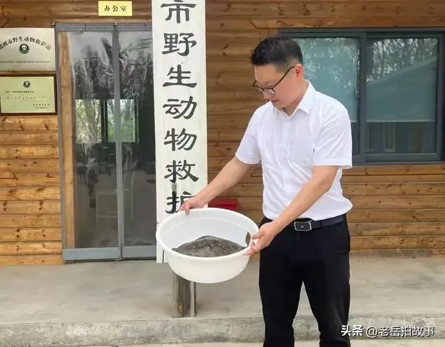 爱心市民给郑州市野生动物救护站送来一只外来物种！