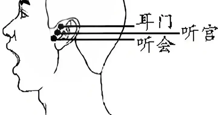 下颌骨髁状突，解剖位置比较重要