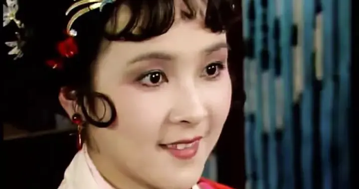 大观园又来俩大美女——白话《红楼梦》第四十九回