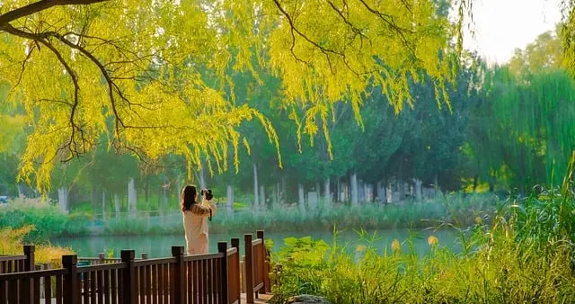 亚马逊盈利真相：砸多少钱？熬多少时间？数据告诉你答案