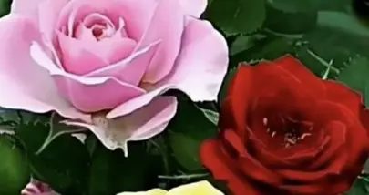 两性关系：女人要知道，一个男人真正爱不爱你，会有三种表现