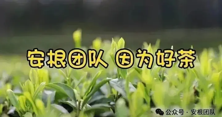 2026-2030茶产业提质升级系统方案